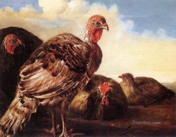 Animal Painting -  Pintor de campo de aves domésticas Aelbert Cuyp